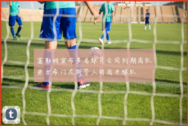 富勒姆宣布多名球员合同到期离队劳尔希门尼斯等人将离开球队
