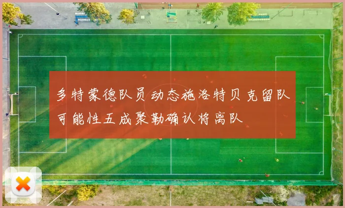 多特蒙德队员动态施洛特贝克留队可能性五成聚勒确认将离队