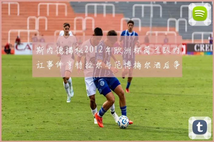 斯内德揭秘2012年欧洲杯荷兰队内讧事件亨特拉尔与范博梅尔酒后争执内幕