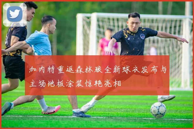 加内特重返森林狼全新球衣发布与主场地板涂装惊艳亮相